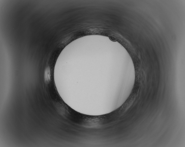 X0000086720075200705111603