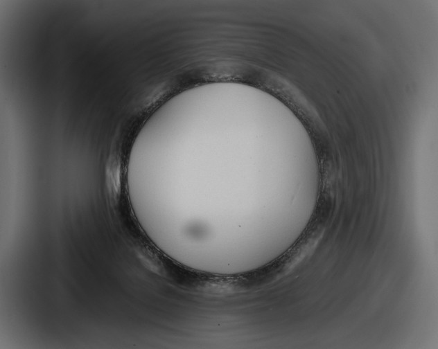 X0000086720076200705111603