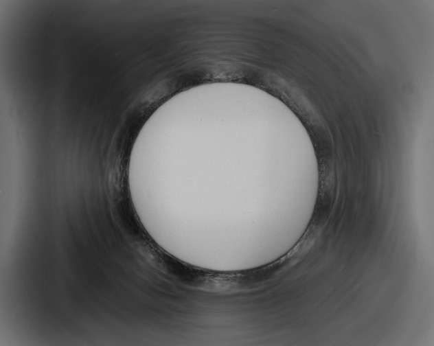 X0000086720078200705111603