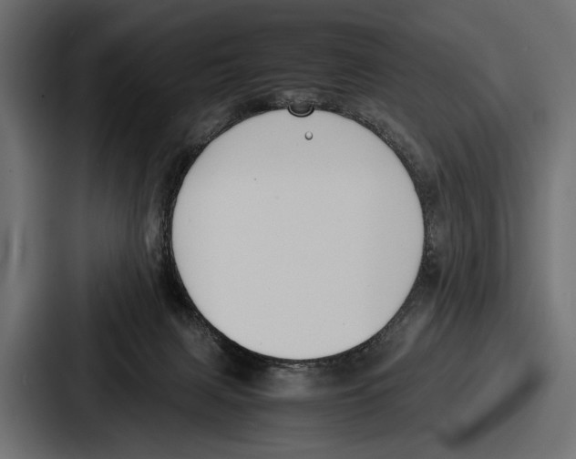 X0000086720079200705111603