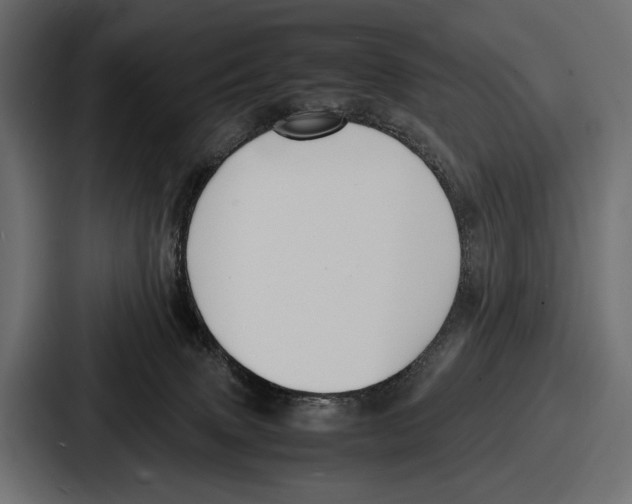 X0000086720083200705111603