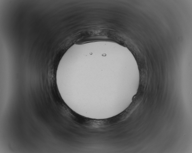 X0000086720085200705111603