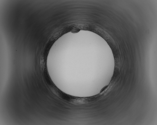 X0000086720086200705111603