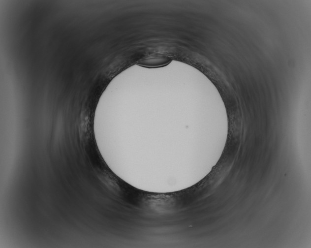 X0000086720087200705111603