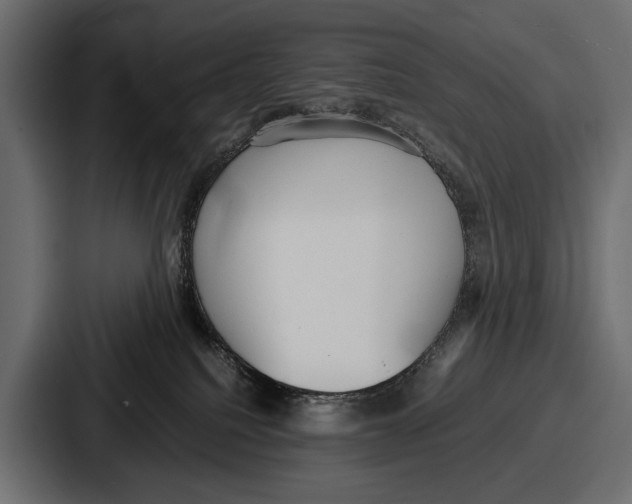 X0000086720088200705111603