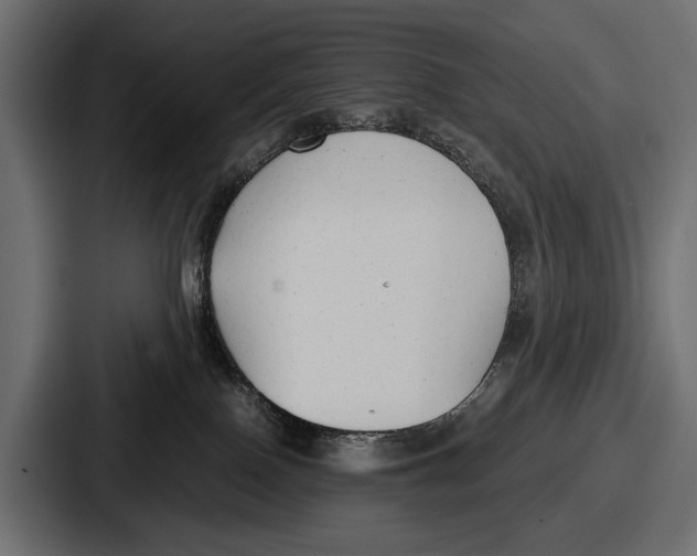 X0000086720090200705111603