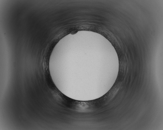 X0000086720091200705111603