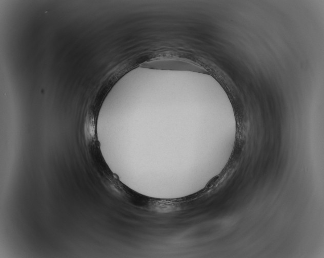 X0000086720095200705111603