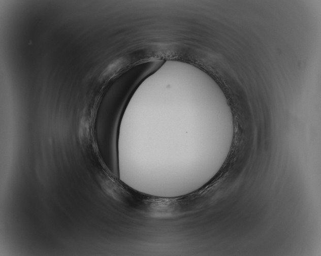 X0000086720096200705111603