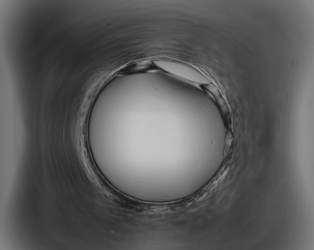 X0000086720097200705111603