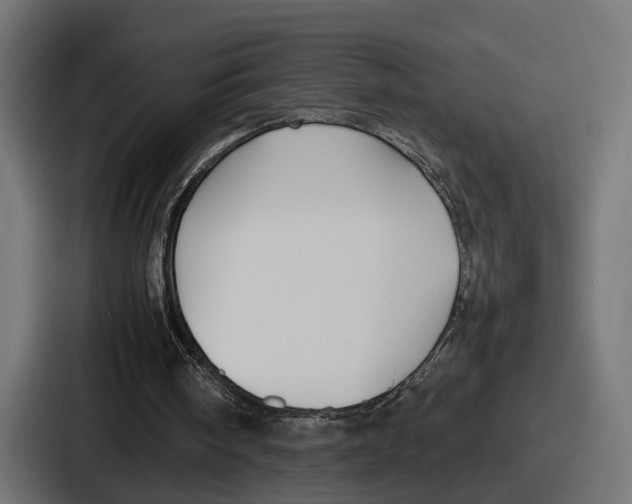 X0000086720098200705111603