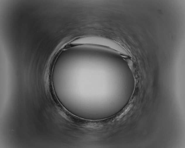 X0000086720101200705111603