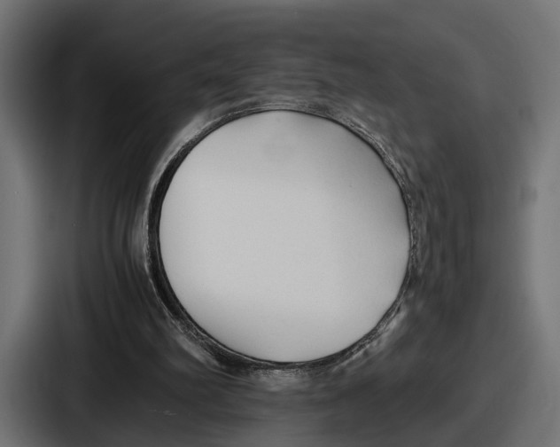 X0000086720102200705111603