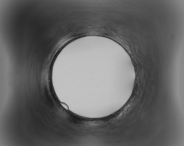 X0000086720103200705111603