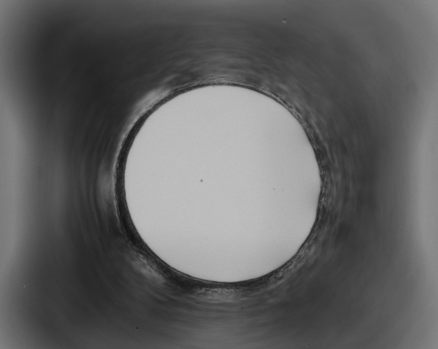 X0000086720104200705111603