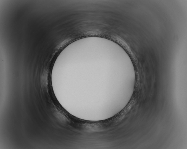 X0000086720106200705111603