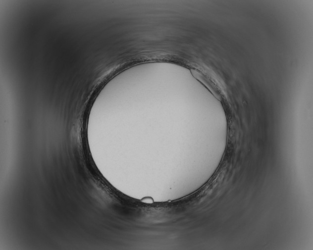 X0000086720107200705111603