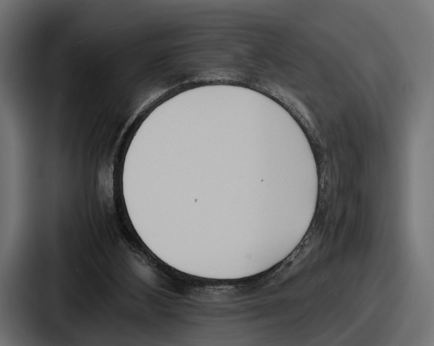 X0000086720108200705111603