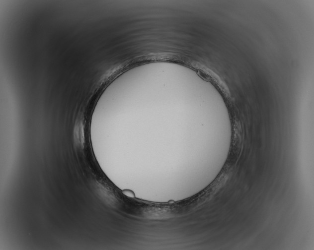 X0000086720110200705111603