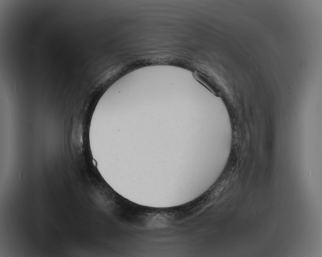 X0000086720115200705111603