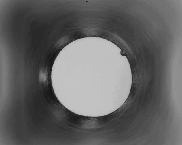 X0000086720124200705111602