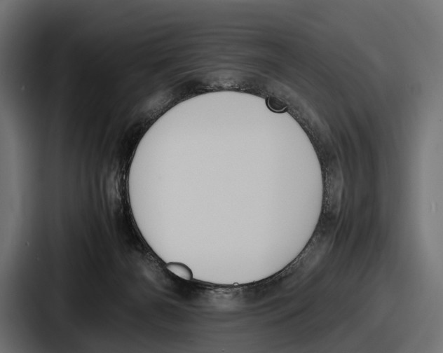 X0000086720126200705111602