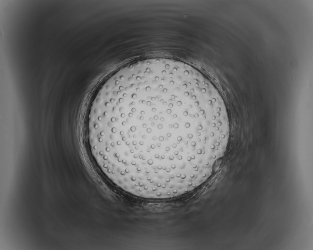 X0000086720145200705111602