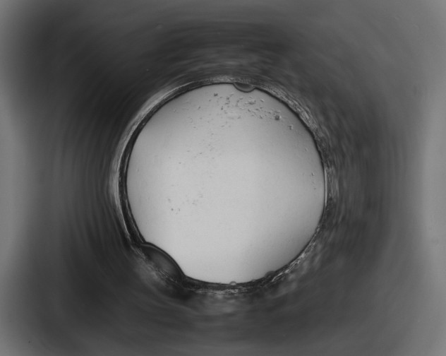 X0000086720147200705111602