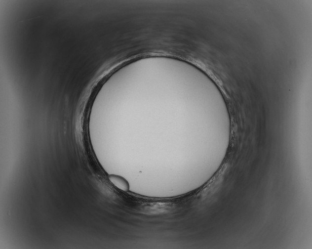 X0000086720151200705111602