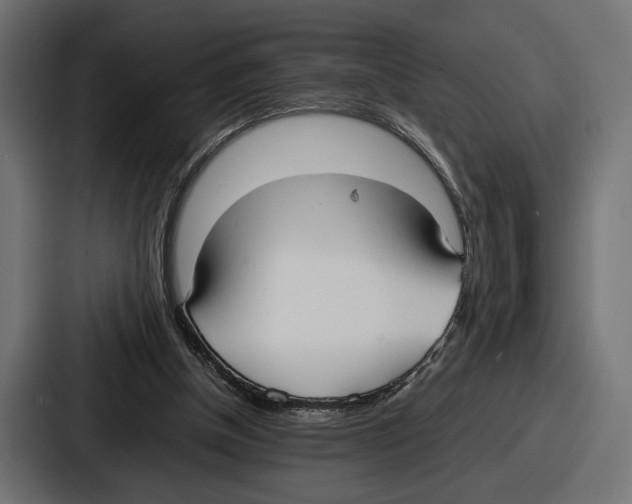 X0000086720154200705111602