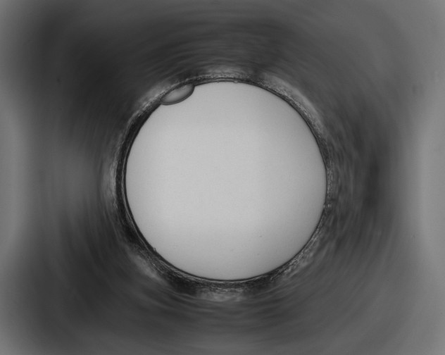 X0000086720155200705111602