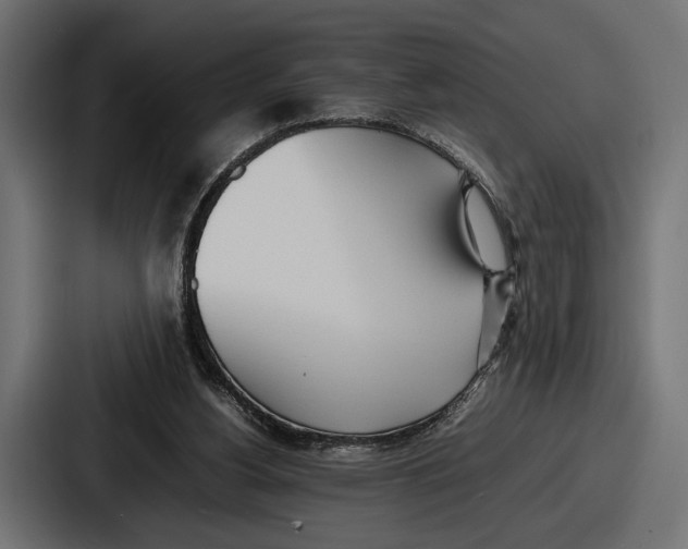 X0000086720156200705111602