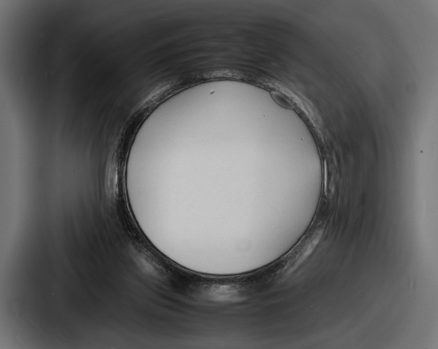 X0000086720157200705111602