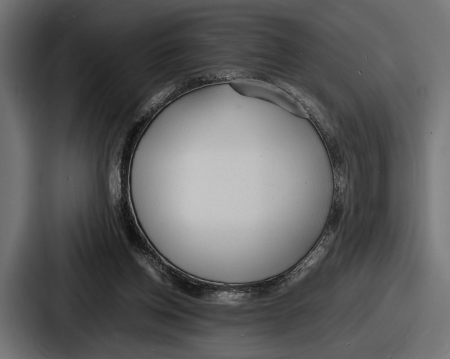 X0000086720158200705111602