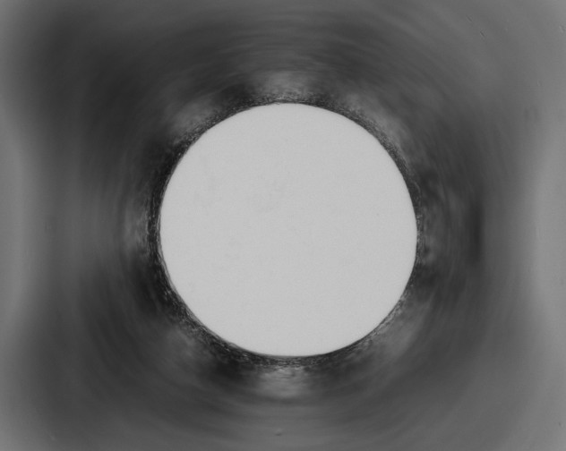 X0000086720162200705111602