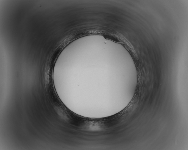 X0000086720163200705111602