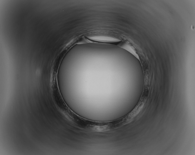 X0000086720168200705111602