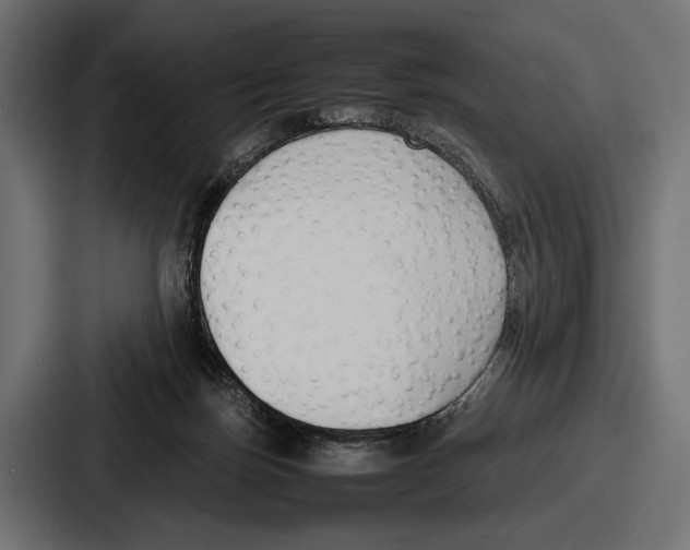 X0000086720171200705111602