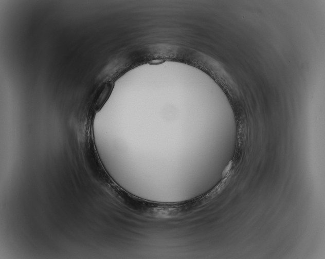 X0000086720172200705111602