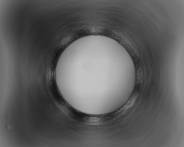 X0000086720176200705111602