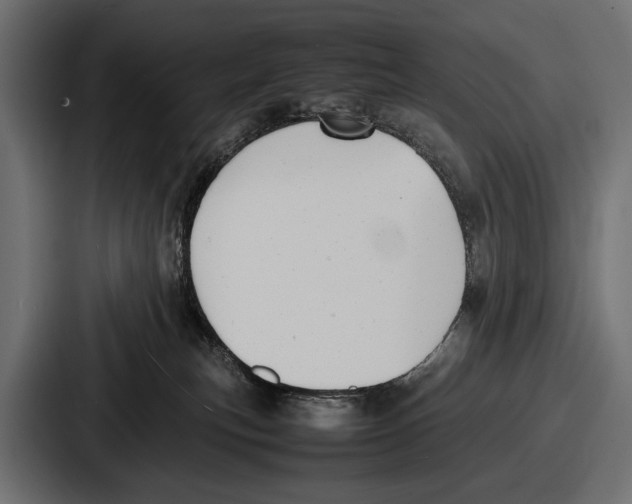 X0000086720183200705111602