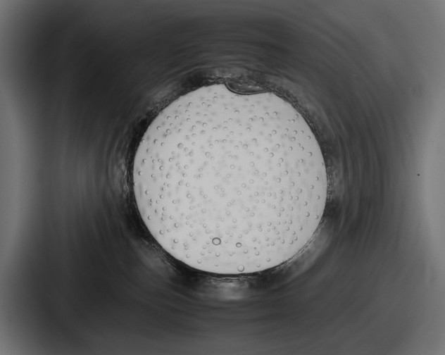 X0000086720187200705111602