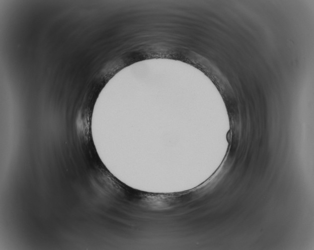 X0000086720190200705111602