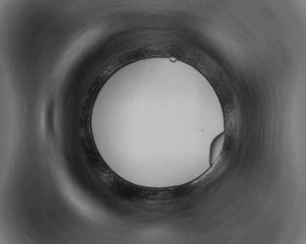 X0000086720191200705111602