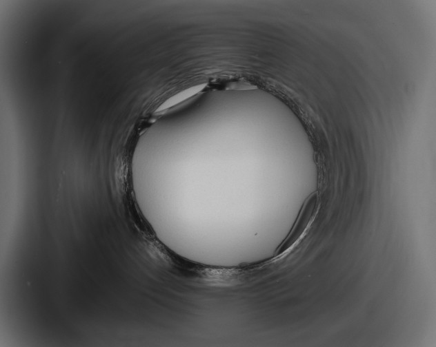 X0000086720192200705111602