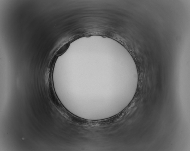 X0000086720194200705111602