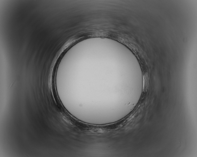 X0000086720195200705111602