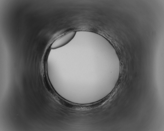 X0000086720198200705111601