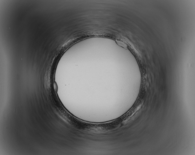 X0000086720203200705111601