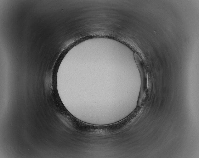 X0000086720204200705111601